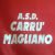 logo CARRU' MAGLIANO ALPI